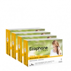 Ecophane Suplemento Fortificante Pack Comprimidos 4x60unid.